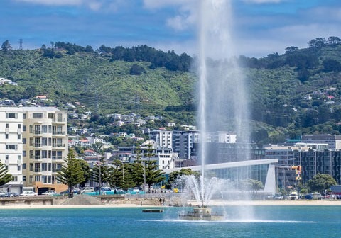 Why Aussies Are Moving to Wellington in Droves